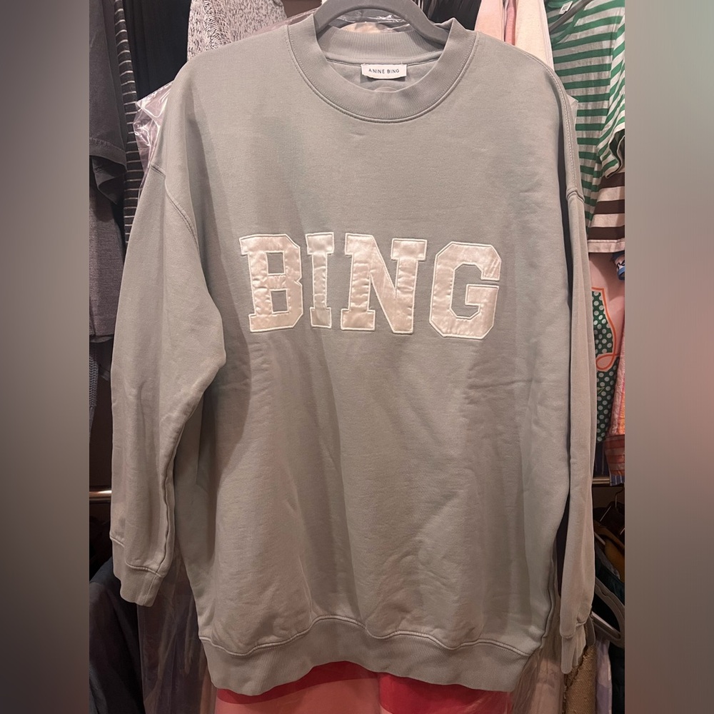 Anine Bing Taylor Satin oversized Sweatshirt NWOT
